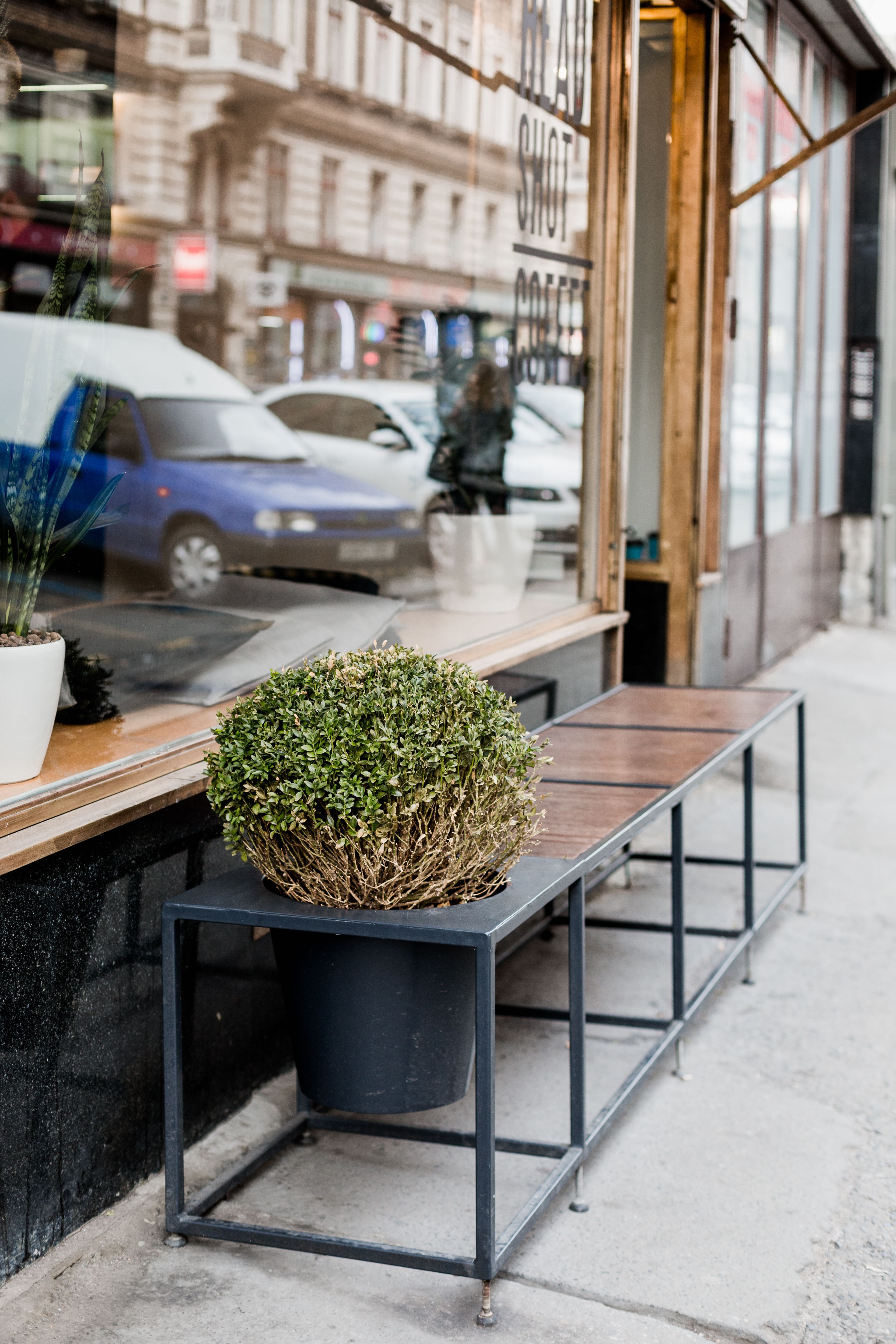 Lavička s květináčem